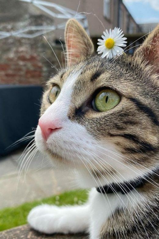 Mexico Living Experience: Your Personalized Tour of Beautiful Tepoztlan